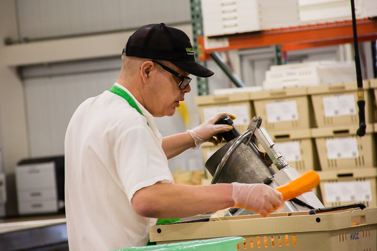 Will Lee is food hub assistant at ValleyHUB.