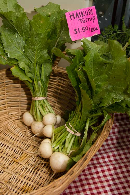 Sprout and other Battle Creek farm growers harvest a variety of healthful foods.