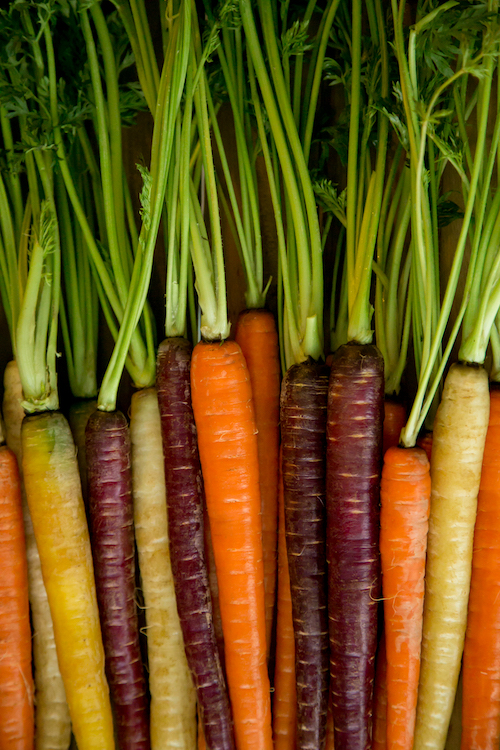 Students at Battle Creek Public Schools were delighted by the rainbow colors of Michigan carrots, and surprised by the leafy green tops.