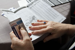 Looking for bus route to grocery store