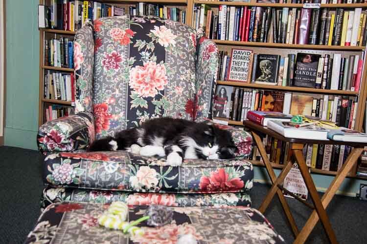 “He DOES work here,” says bookstore owner Gloria Tiller.