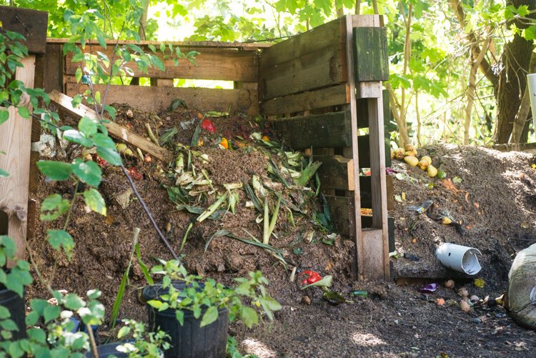  Compost lovers think yum when looking at this photo of Chris Broadbent's California three-bin compost system.