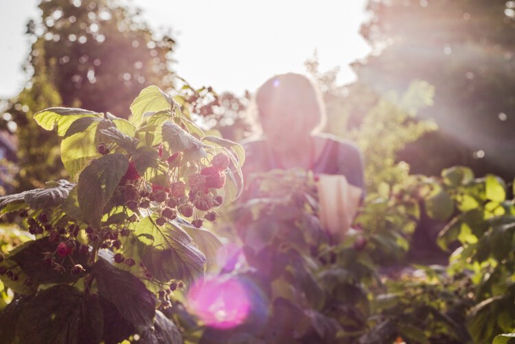 Fruit of the Vine celebrated its fifth anniversary this spring with a neighborhood gathering and visit from the banana car.