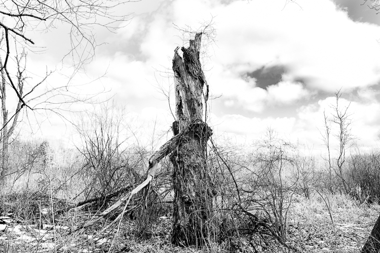 Everywhere you look at Bow in the Clouds, nature has something interesting to say. Photo by Eric Hennig, VAGUE Photography
