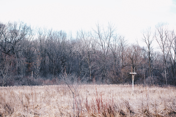 Volunteers built an osprey stand last year hoping to lure an osprey to nest. Photo by Eric Hennig, VAGUE photography