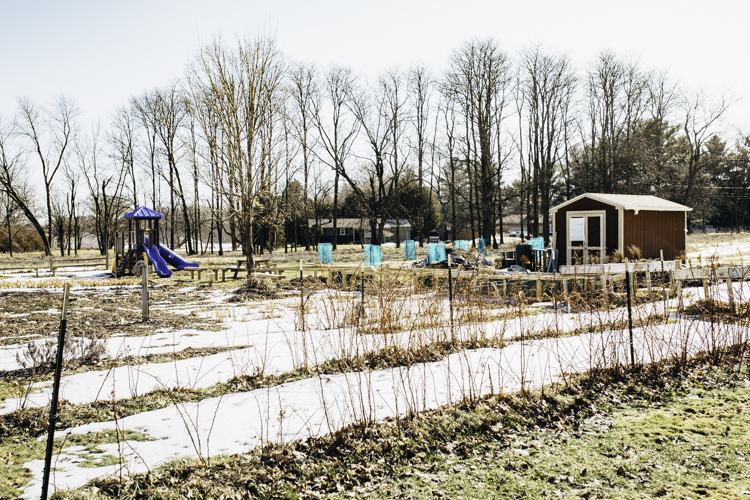 The Sunnyside community garden, which is now nine years old, grows each year. Last year, a small orchard was added.