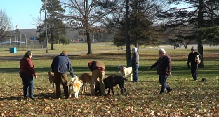 Supporters are hoping to have funding in place so a park can be completed in 2019.