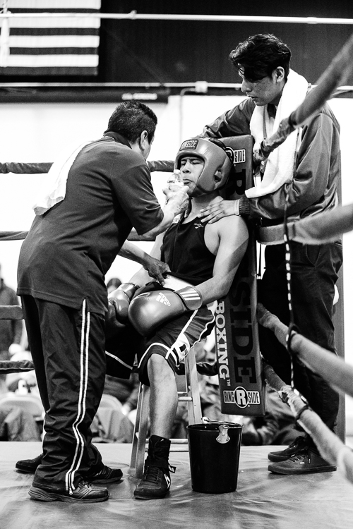Coaches tend to the boxers between each bout or time-out of the match.