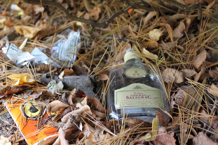 A liquor bottle left behind on Reed Street near Portage Road.