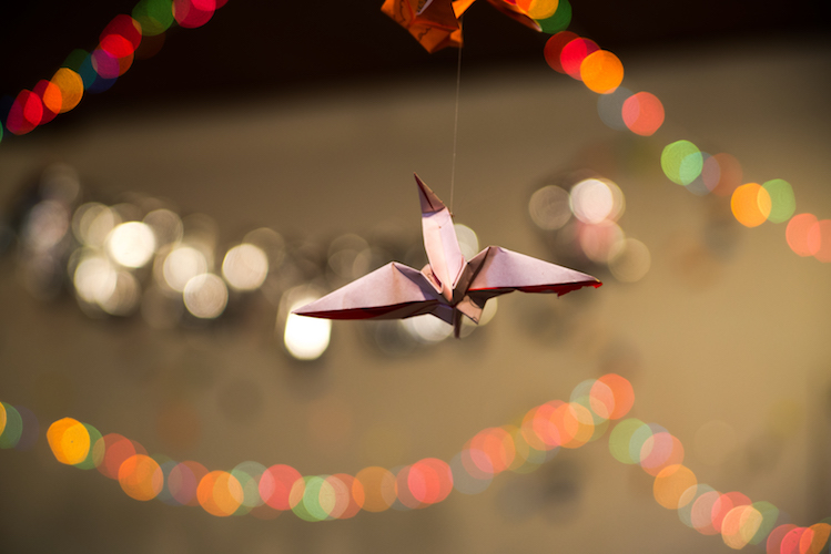 Cranes reveal their magic at Fire. Photo by Fran Dwight