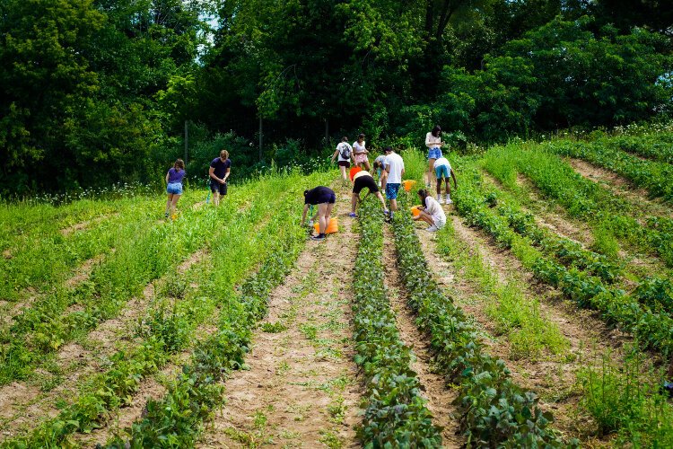 The Wege High School Collaborative Studio is back for its fourth year. 