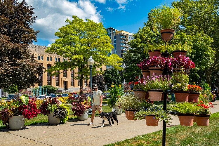 A man walks his dog in Bronson Park on a sunny day.