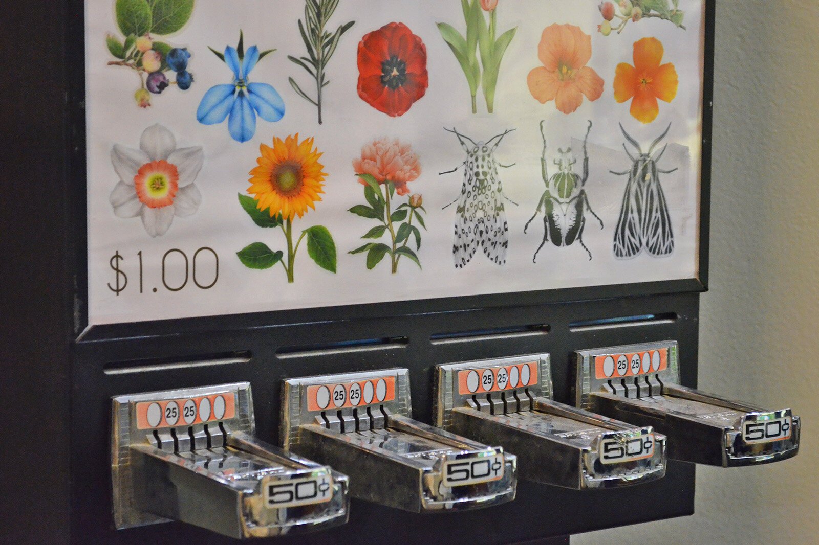 Kalamazoo TSC artist Olivia Mendoza creates realistic illustrations of plant, animal, and insect life. At the Winter Wonder Market in December, Mendoza’s designs were available in sticker form from this vending machine.