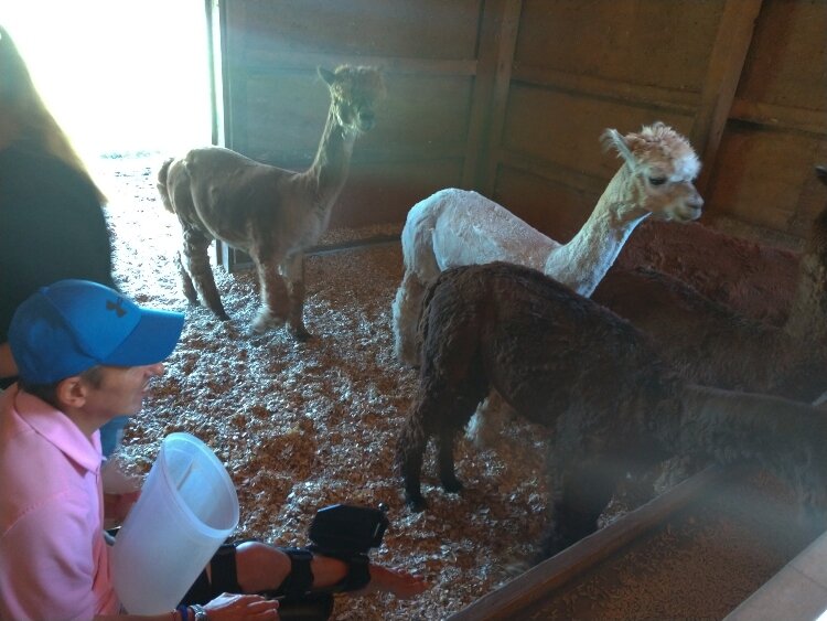 The Benjamain's Hope NEXT program is an adult program focused on whole person growth and development. Participants are mostly from the community at large and develop skills in the campus barn.