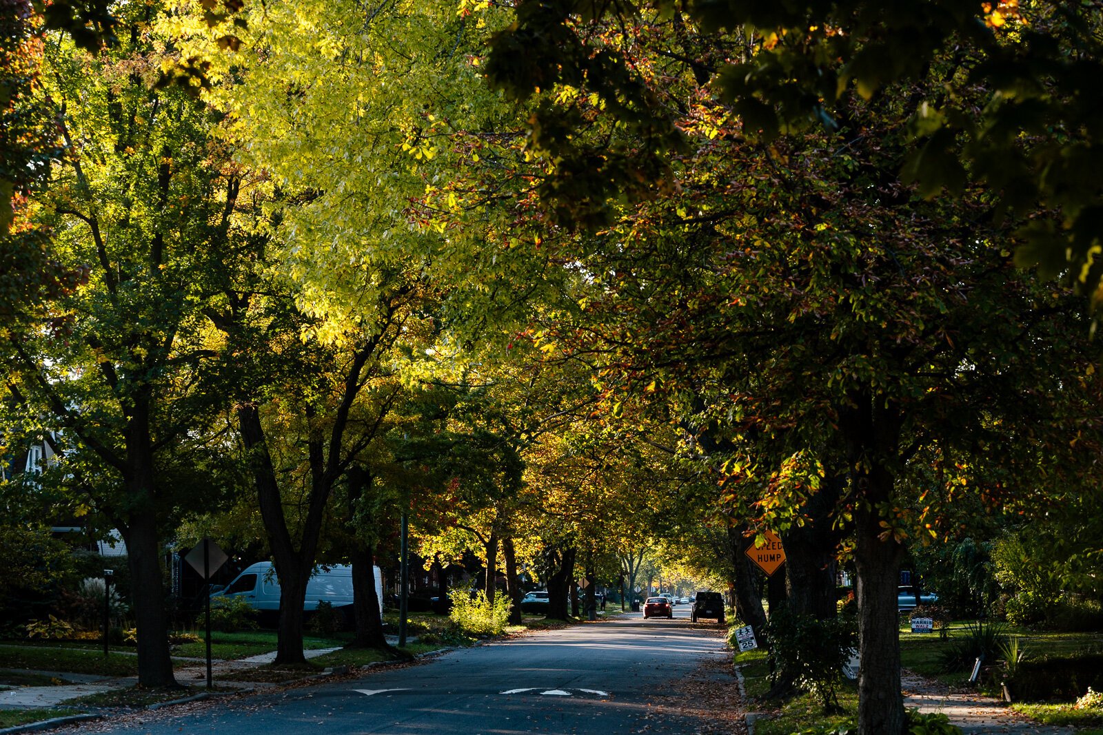 Trees are also essential to improving Detroit's air quality.