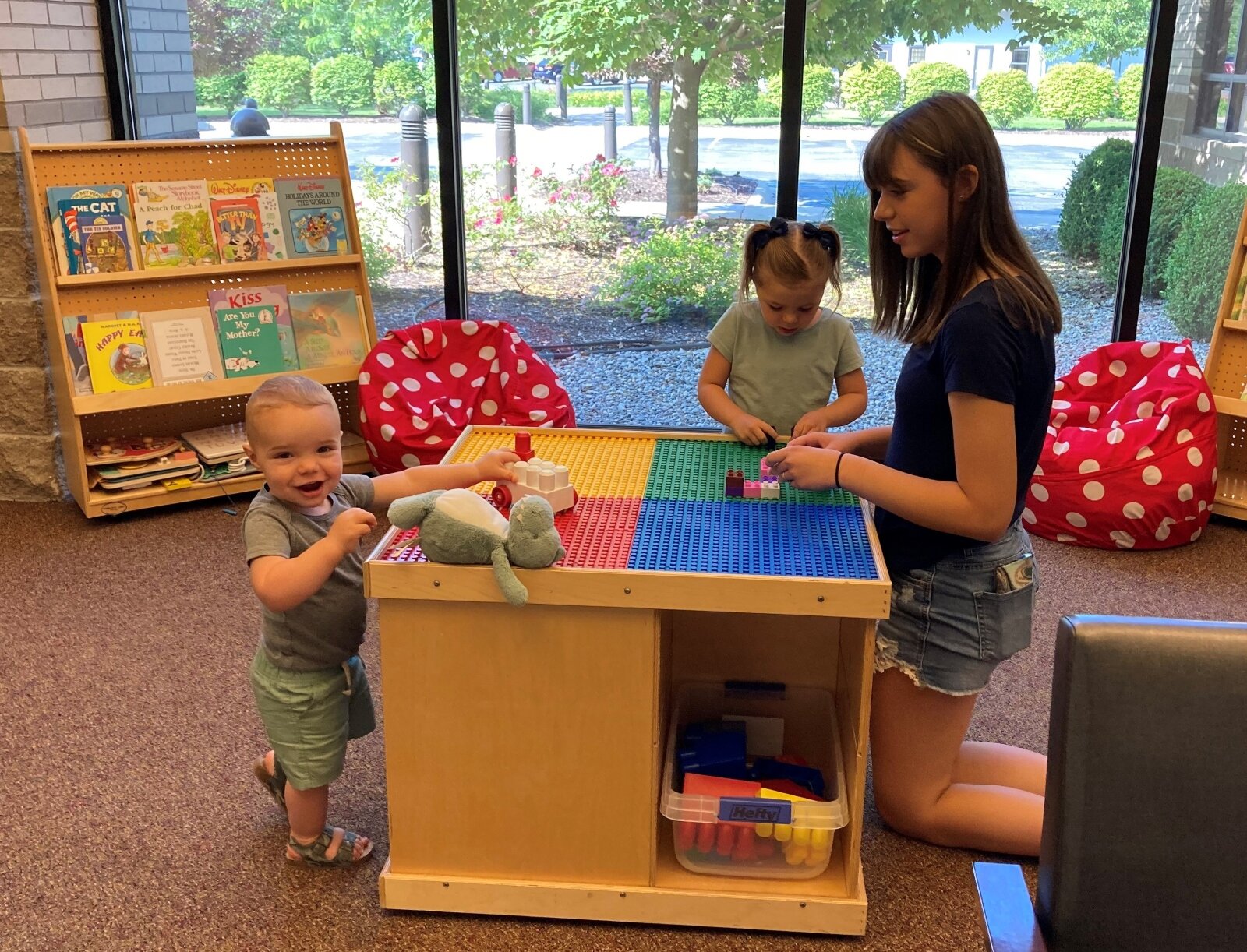 As a CCBHC, Sanilac County CMH can better serve all ages.