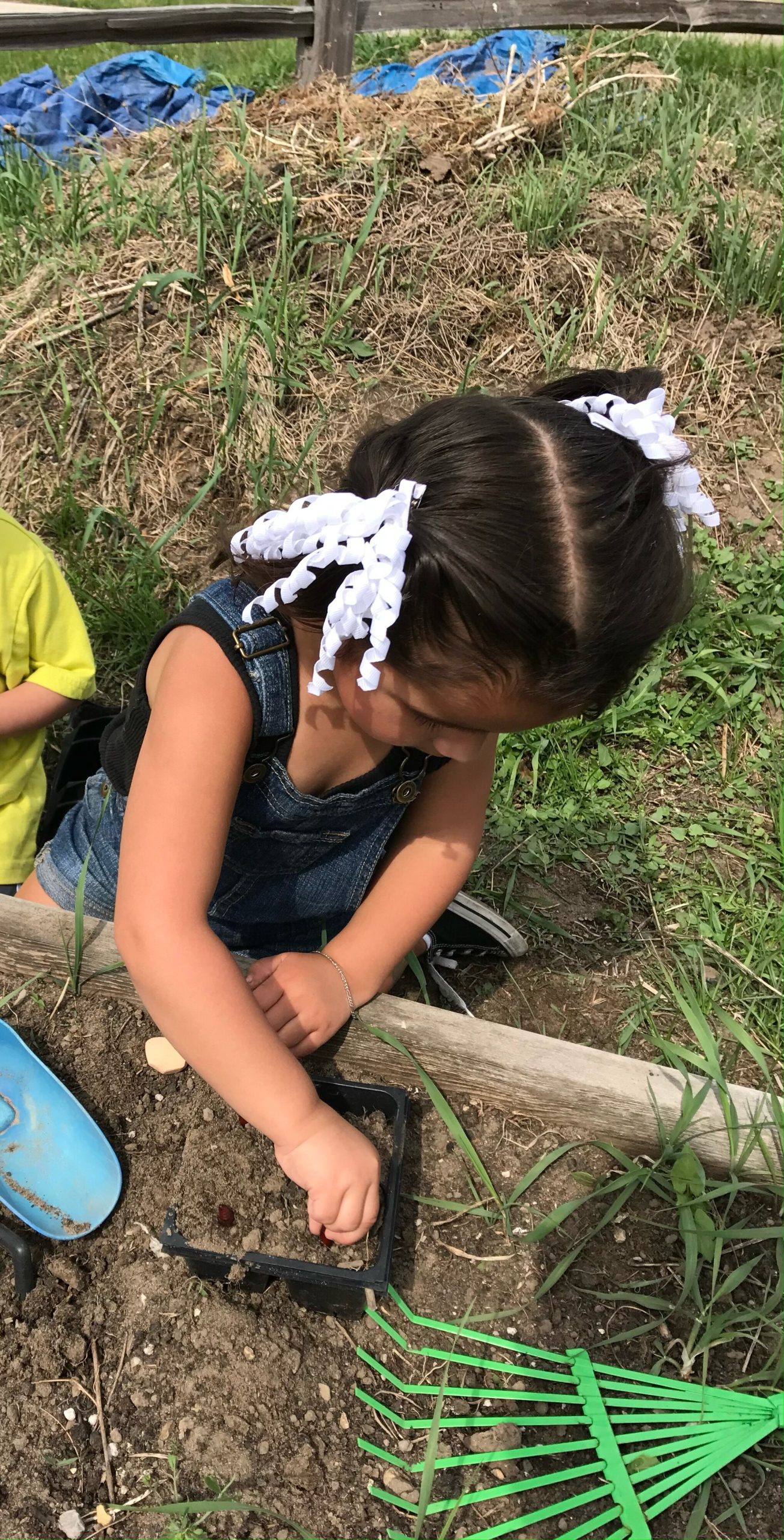 A photo submitted by a PhotoVoice project participant.