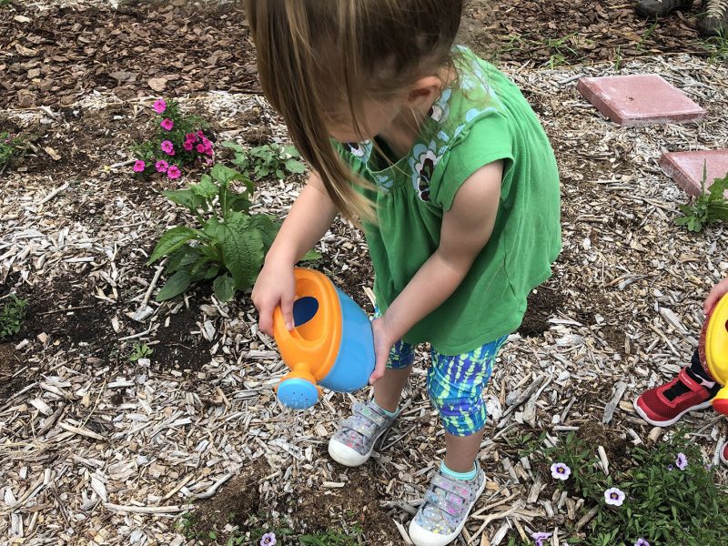 A child in the Child and Family Charities Family Growth Center's community garden.
