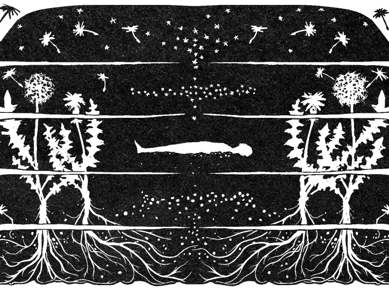 Series Teaser: Green Burial. Artist's comment: "A body transferring energy back into nature, back to the stars, and roots of dandelions releasing seeds."