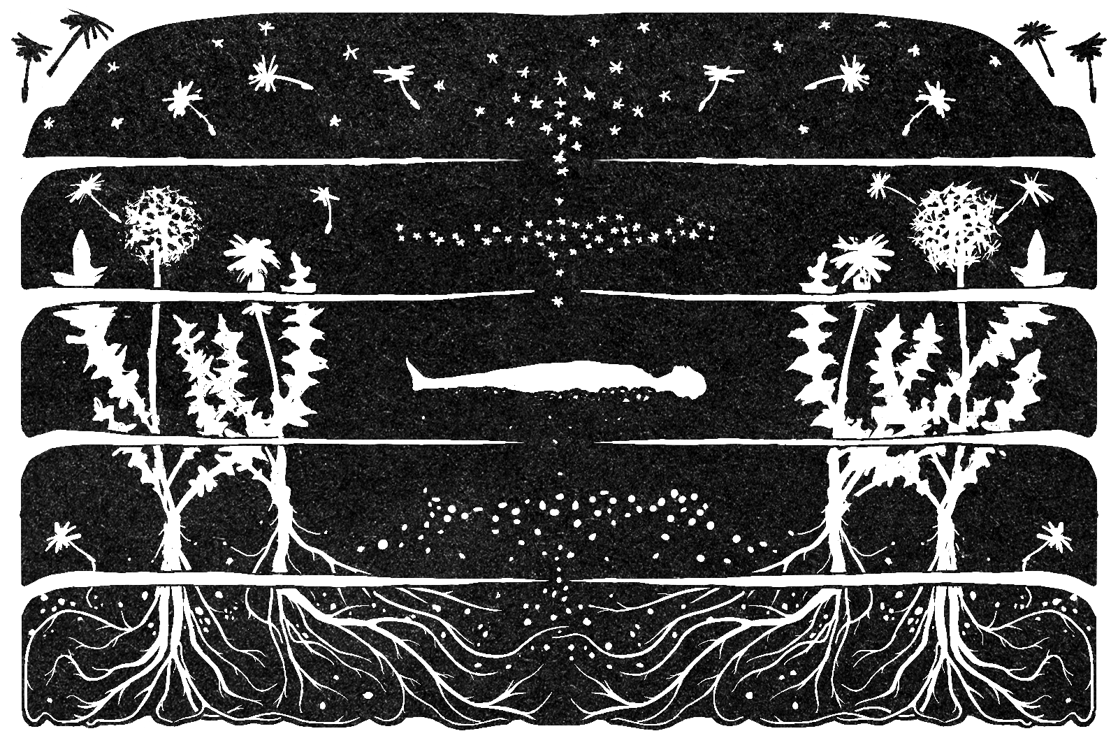 Series Teaser: Green Burial. Artist's comment: "A body transferring energy back into nature, back to the stars, and roots of dandelions releasing seeds."