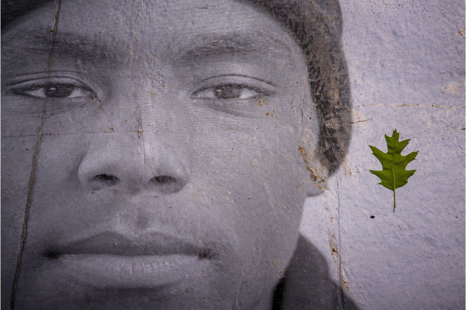 Part of the Inside Out Project includes the natural decomposition of the photographs. The photos, especially with foot traffic, are intended to last any where from one week to three months.