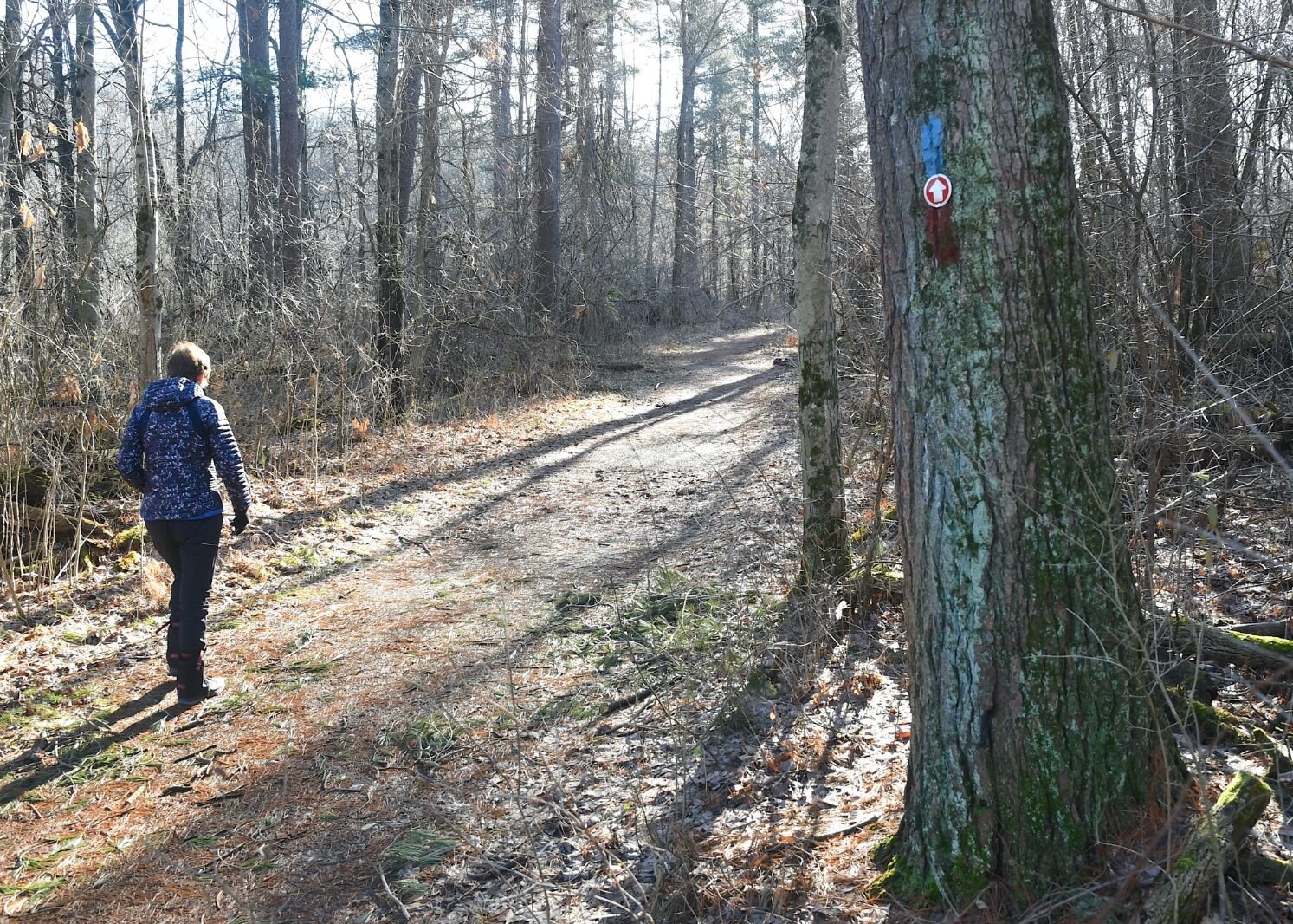 Jane Norton walks on the North Country Trail through part of Kellogg Forest.