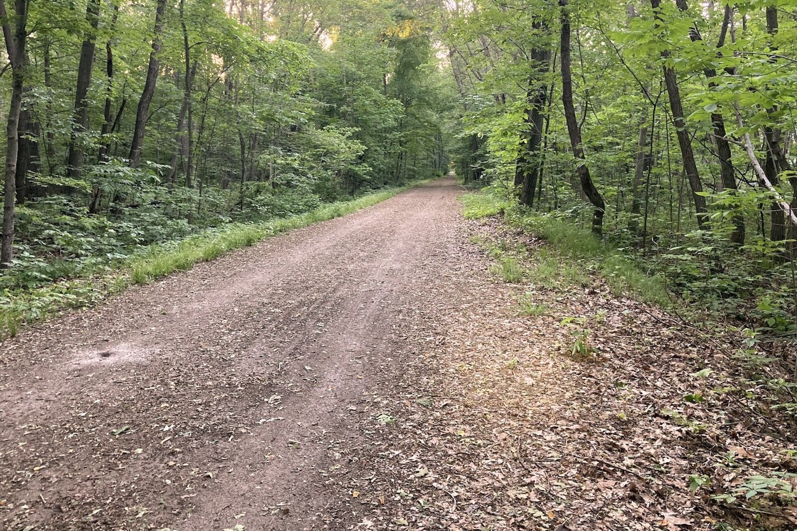 Half of the Kal-Haven Trail will be resurfaced in limestone and three bridges completely replaced, thanks to federal funding.