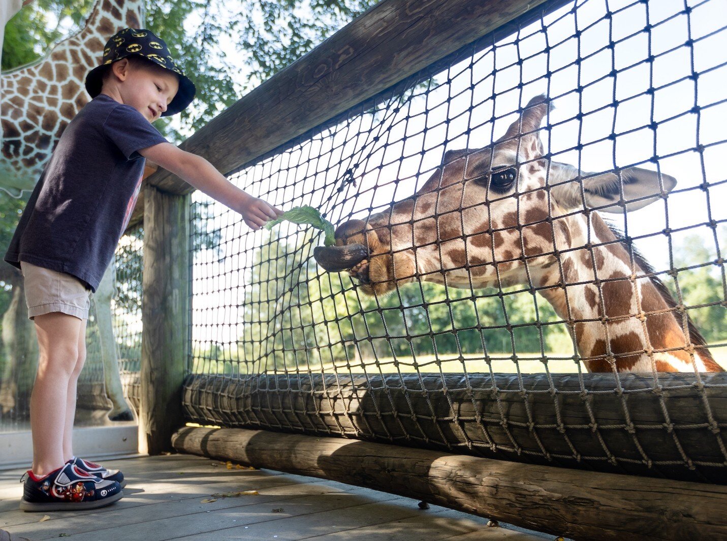 A moment with a giraffe at Binder Park Zoo.