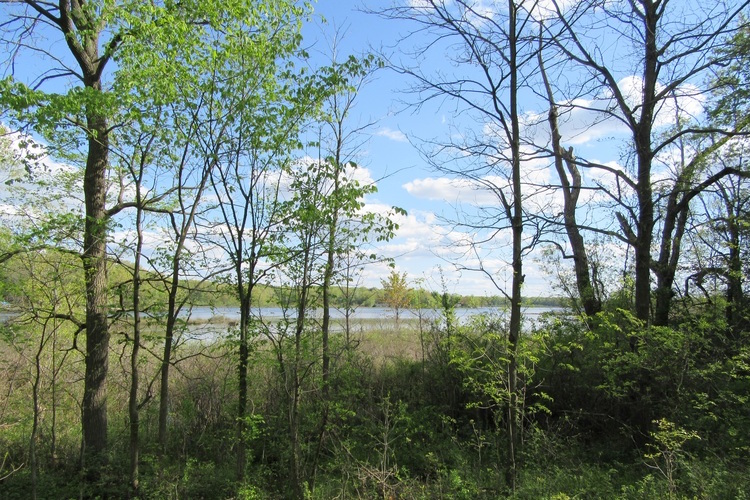 Fair Lake Preserve in Barry County