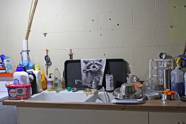 A whimsical poster decorates the cleaning area.